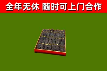 古浪回收海参